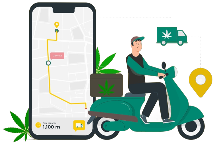 Order Cannabis